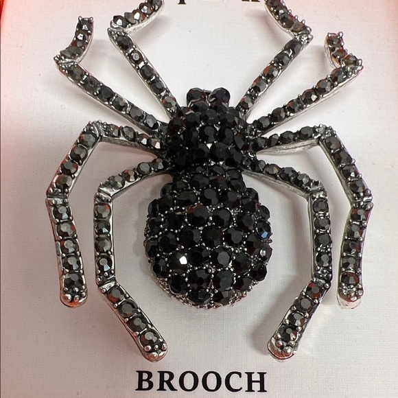 Piper K | Spider 🕷️ Brooch - Picture 4 of 8
